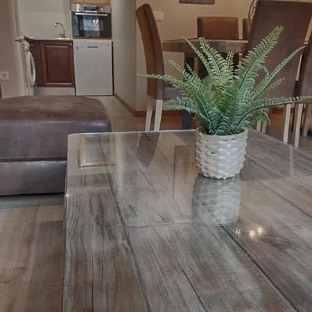 Appartement Saplan Real Estate Portet *